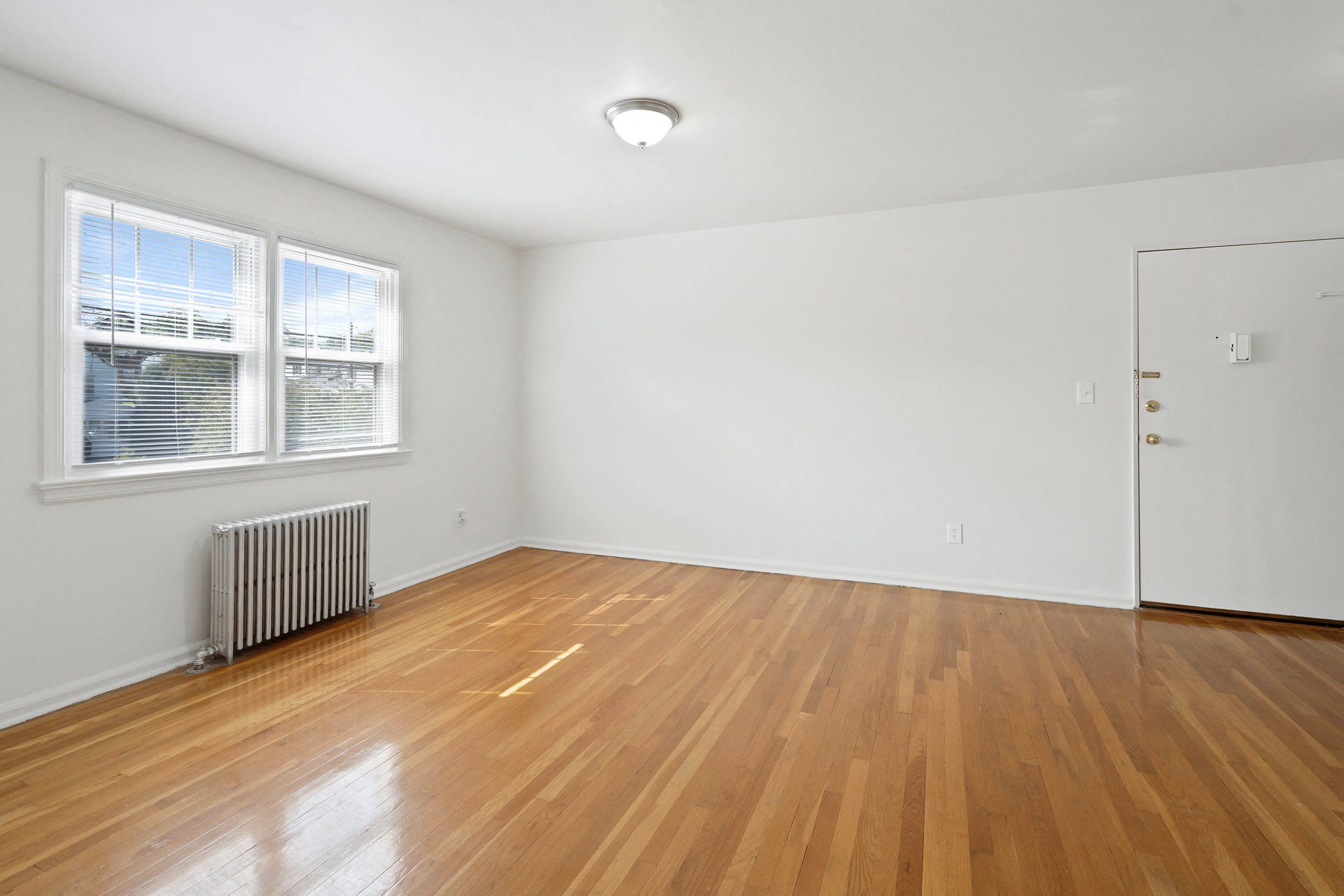 Gallery Photo 8